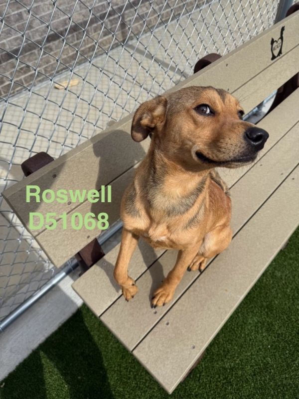 Roswell