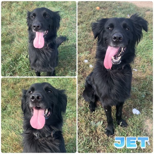Jet