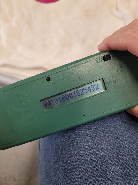 Totzilla thumbnail 3