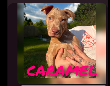 Caramel
