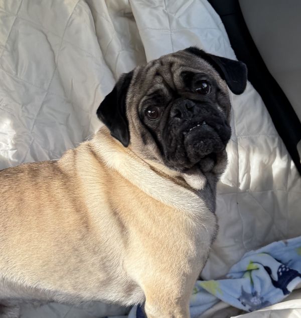 Theodore