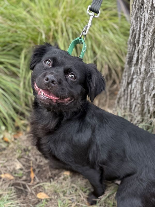 Woofie Goldberg thumbnail 2