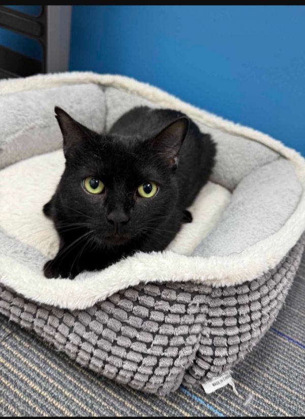 Slinkyspecial Needs Ch