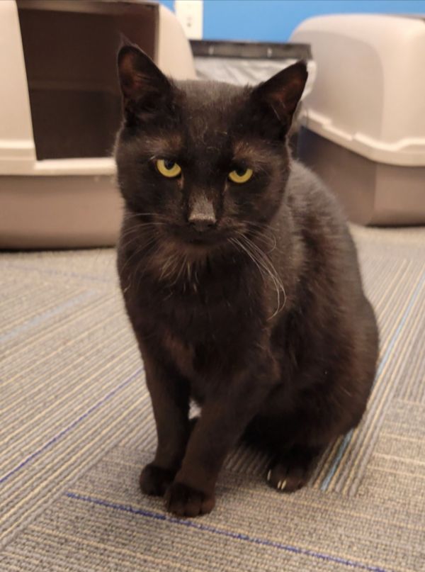 Peppercornsoecial Needs Please Needs