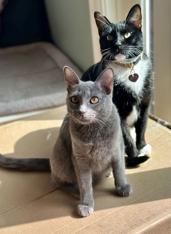 Misty And Mama Bella thumbnail 2