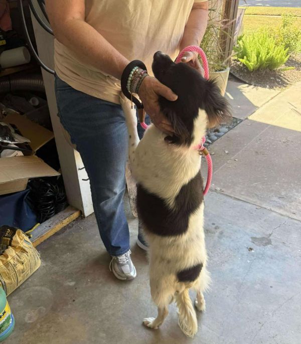 Monty Arriving thumbnail 2