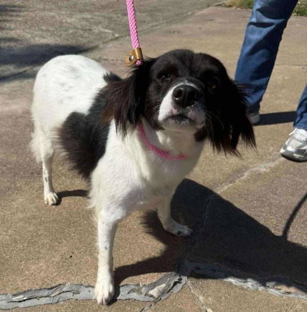 Monty Arriving thumbnail 3