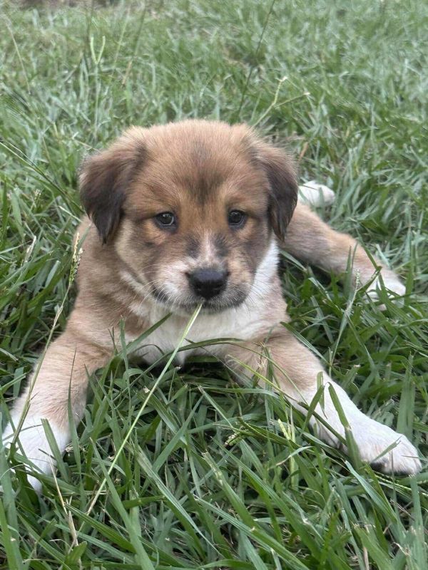 Emmit Arriving thumbnail 2