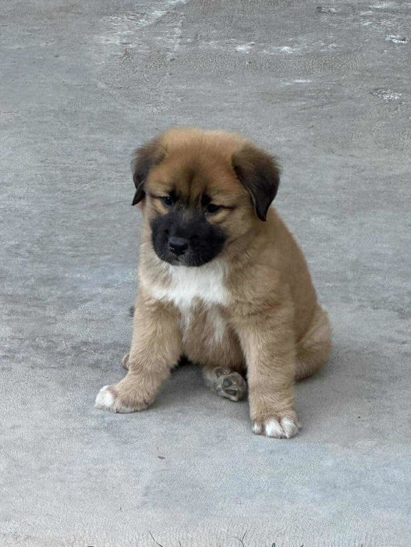 Fletcher Arriving thumbnail 2