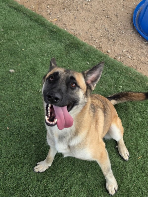 Louise - located in CA