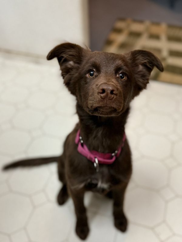 Ellie