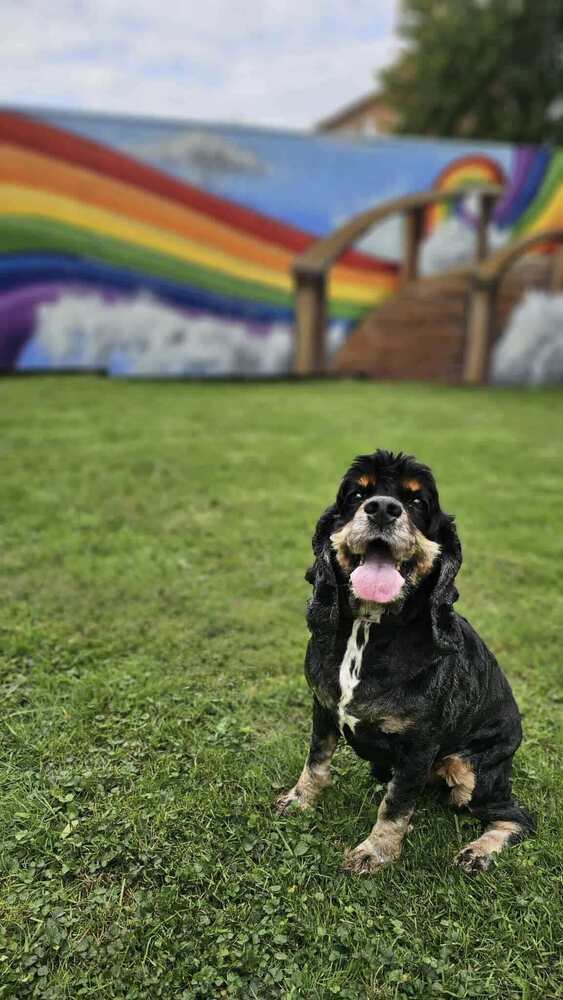 Baxter