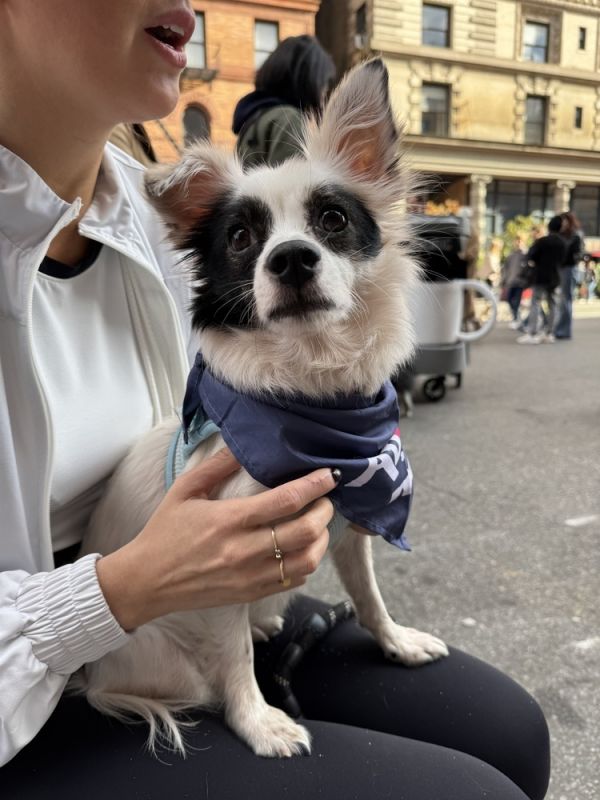 Mochi