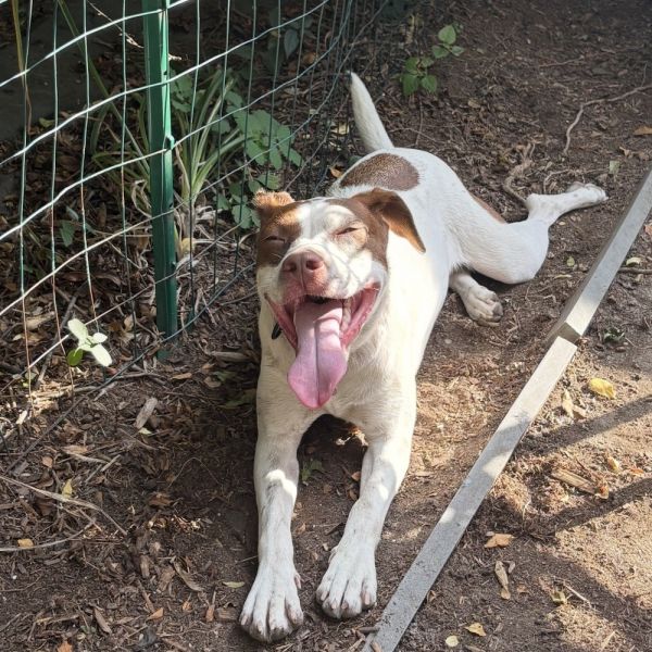 Ruby Wiggles Pratt thumbnail 2