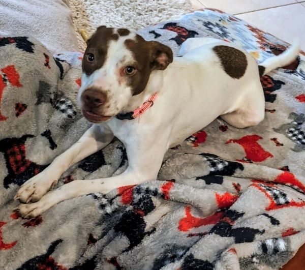 Ruby Wiggles Pratt thumbnail 3