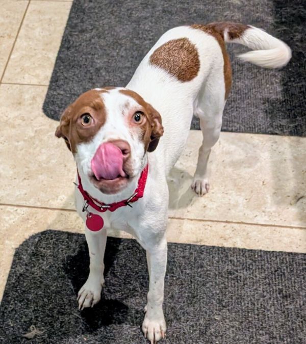 Ruby Wiggles Pratt thumbnail 4