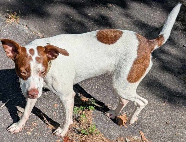 Ruby Wiggles Pratt thumbnail 5