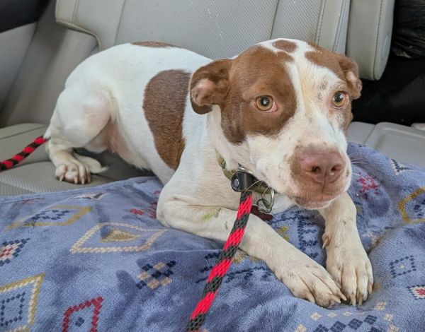 Ruby Wiggles Pratt thumbnail 6