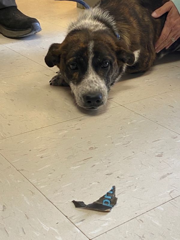 Candycorn thumbnail 2