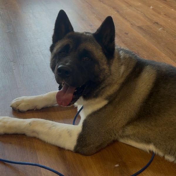 Benji
