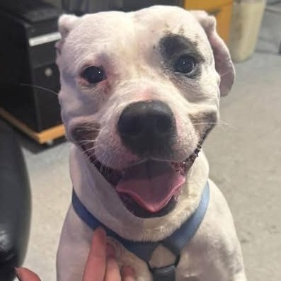 Nacho Libre thumbnail 2