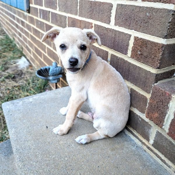 Ferns Skelly thumbnail 5