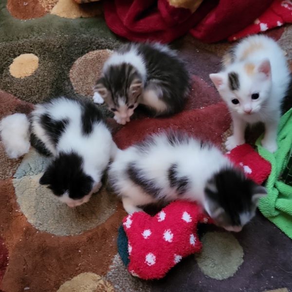 Harry Potter thumbnail 4