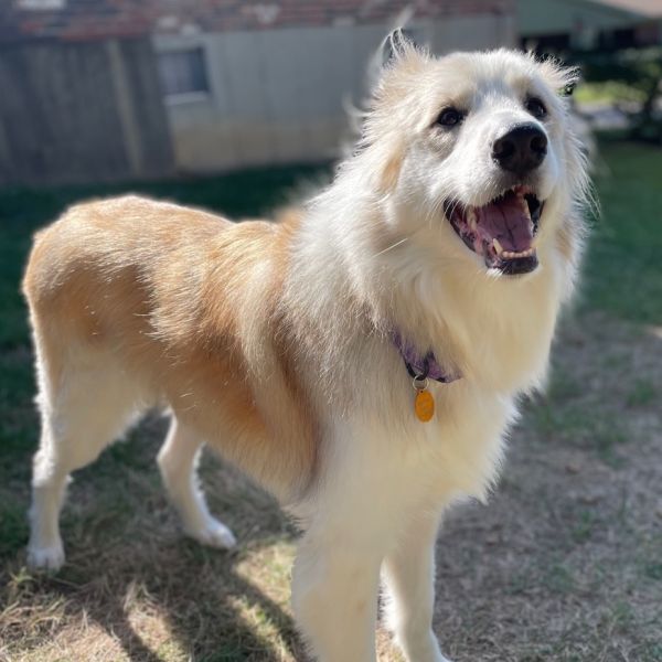 Bella