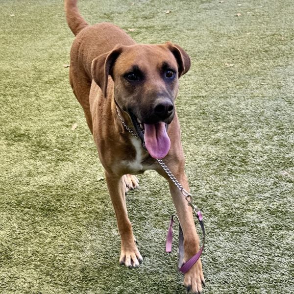 Reba  Ecas thumbnail 2