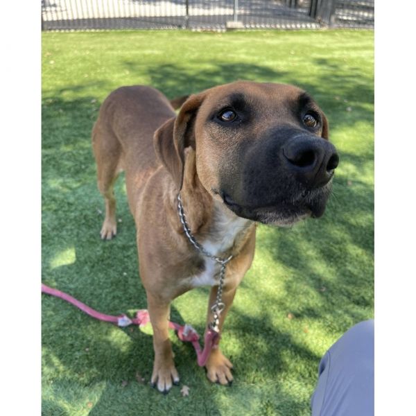 Reba  Ecas thumbnail 4