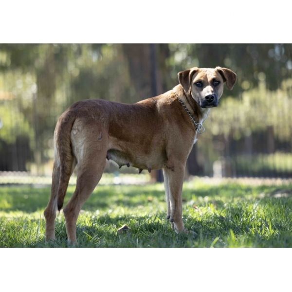 Reba  Ecas thumbnail 5