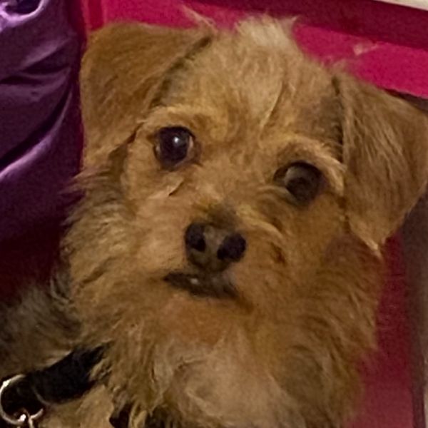 Big Mack thumbnail 5