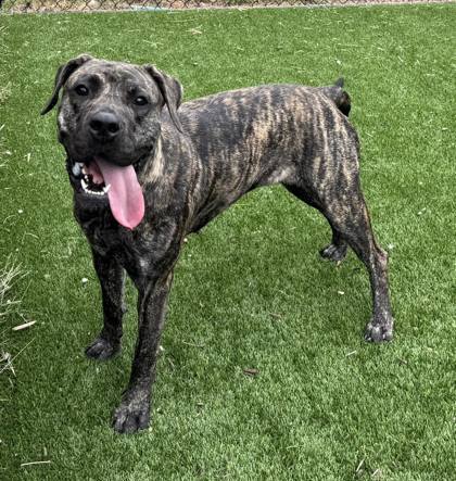 Lucy