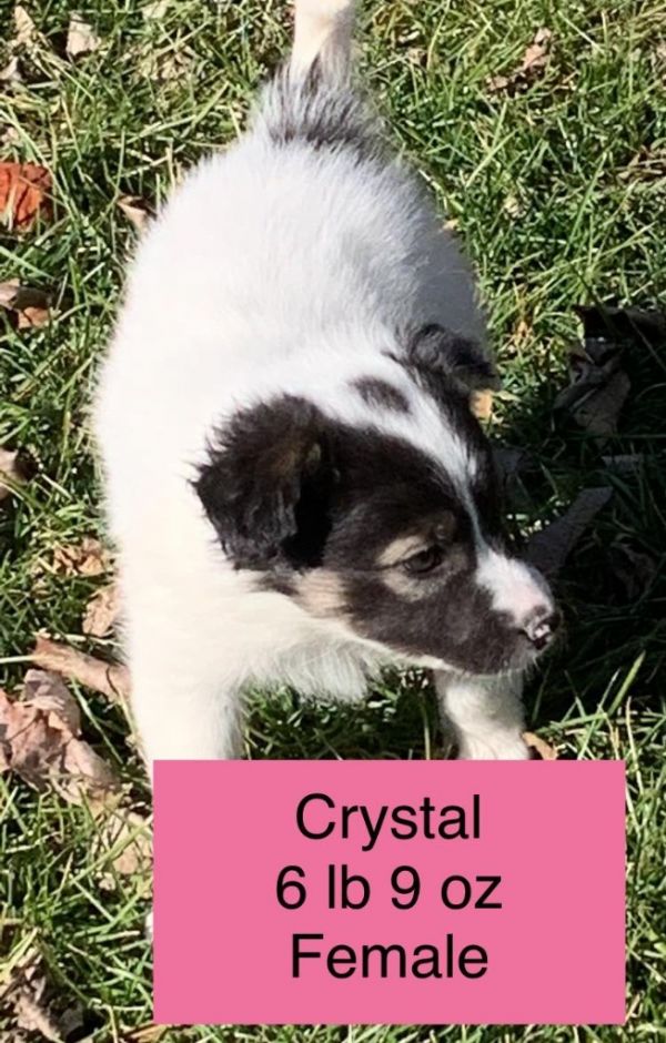 Crystal thumbnail 2