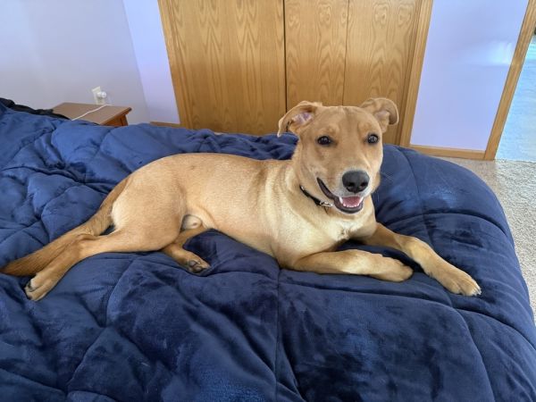 Titleist thumbnail 2