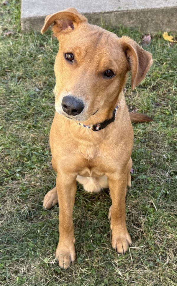 Titleist thumbnail 3