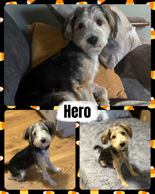 Hero