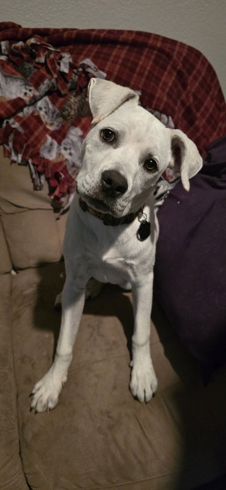 Daisy Mae thumbnail 2