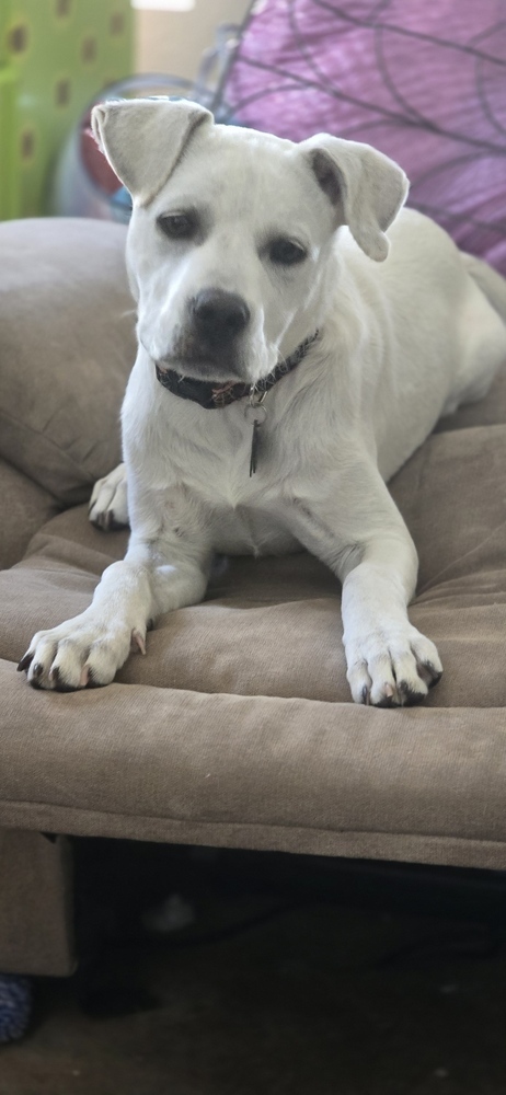 Daisy Mae thumbnail 3