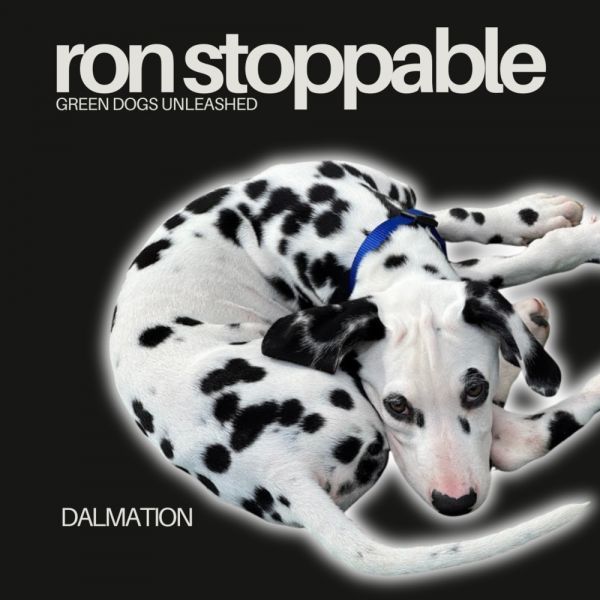 Ron Stoppable photo 1