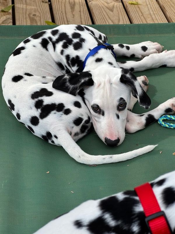 Ron Stoppable thumbnail 2