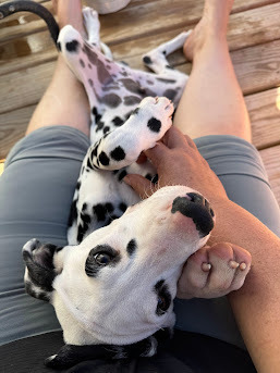 Ron Stoppable thumbnail 3