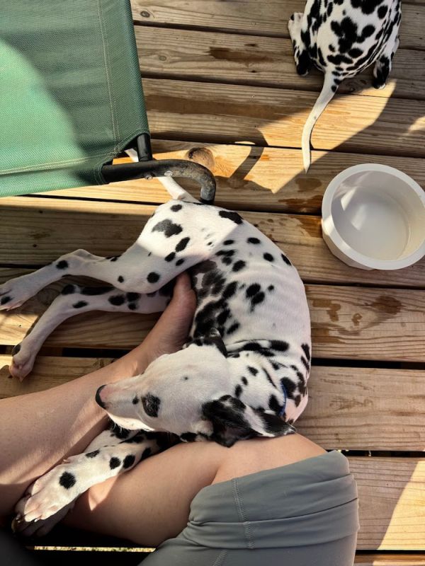 Ron Stoppable thumbnail 4