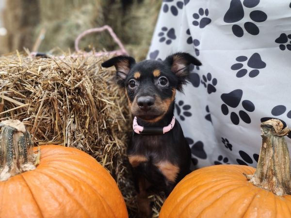 Everleigh thumbnail 3