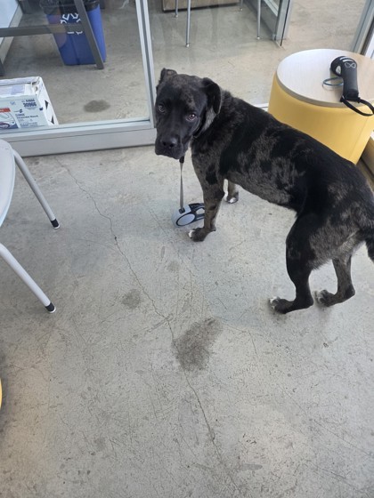 59676644 thumbnail 2