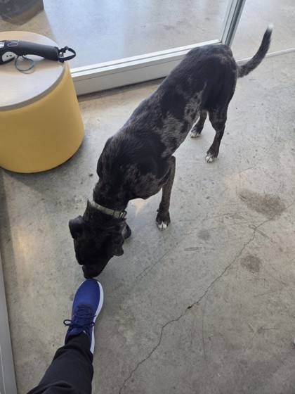 59676644 thumbnail 3