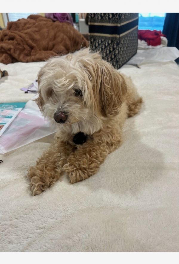 Winnie