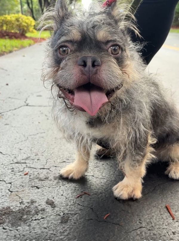 Morty