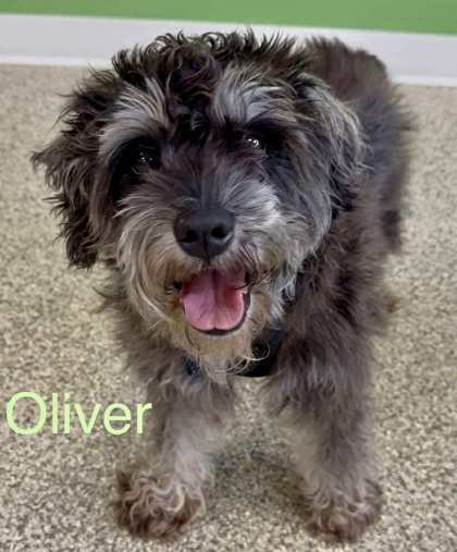 Oliver Bonded To River