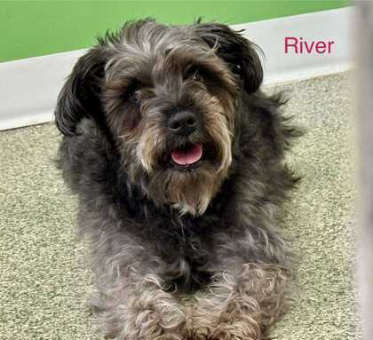 River Bonded To Oliver